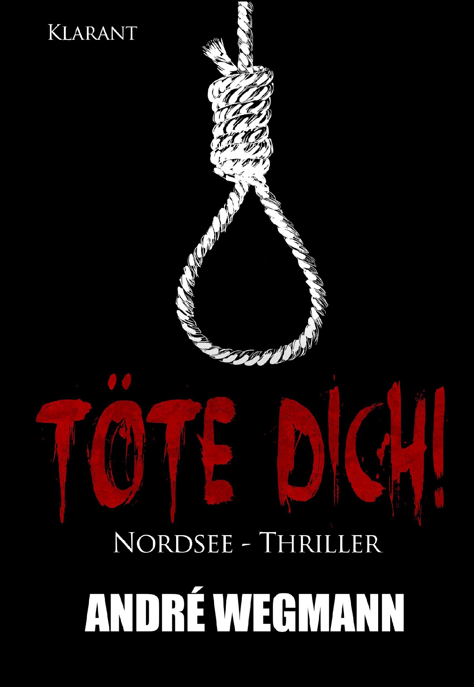 Töte dich! Nordsee-Thriller von André Wegmann